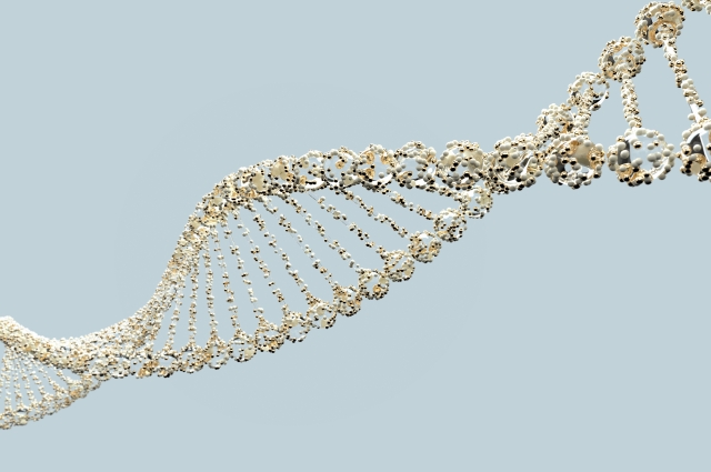 【研究の最前線】DNAってなに？自分の設計図をのぞいてみよう